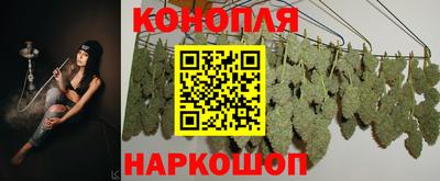 прущий лед Тара